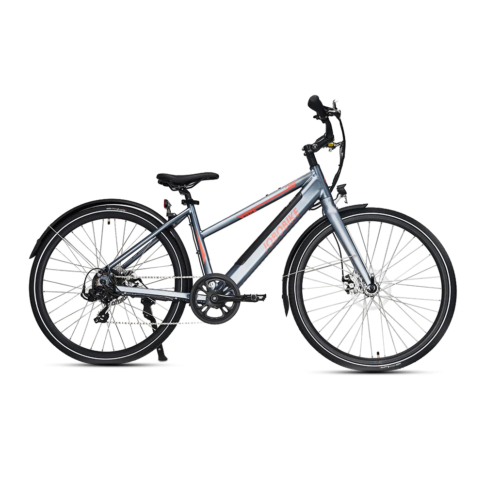 e-Citybike Viva, 26 Zoll