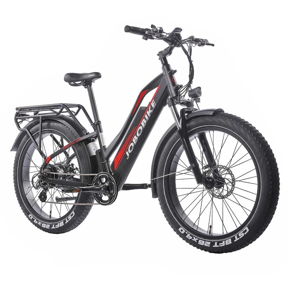 e-Fatbike Robin