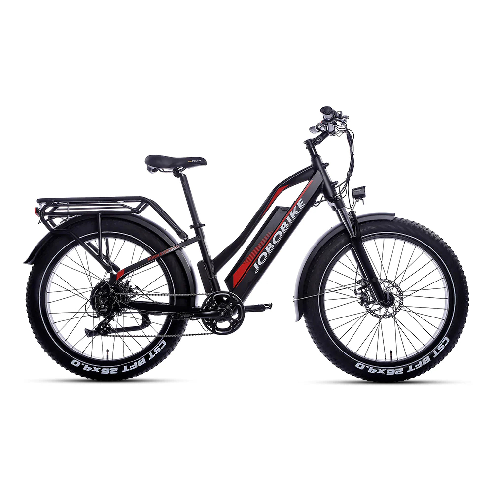 e-Fatbike Robin